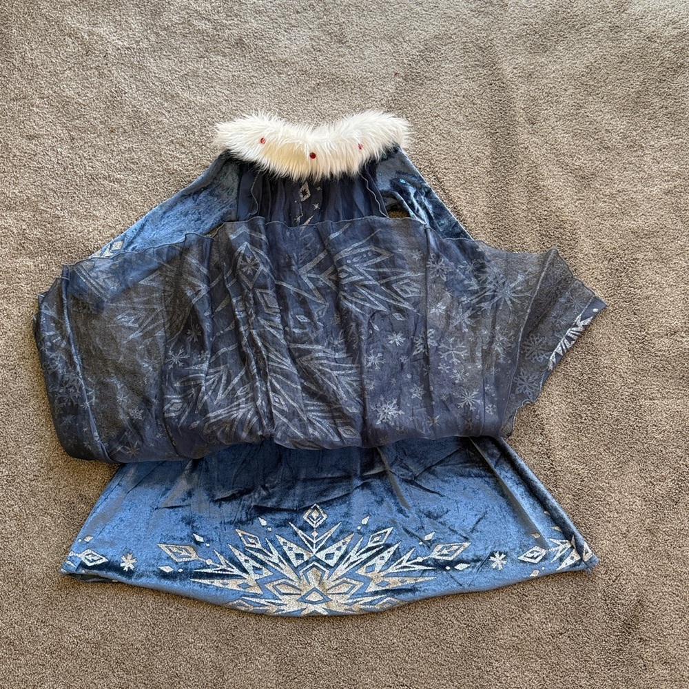 Blue Velvet Dress with Faux Fur Collar - Picture 6 of 6